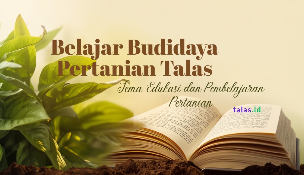 📚 Bonus Buku Edukasi
